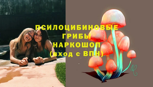 прущая мука Алексеевка