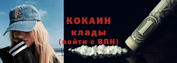 стаф Алзамай
