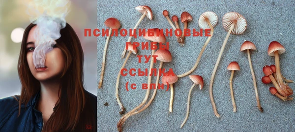 мдпв Протвино