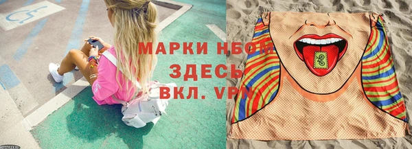 стаф Алзамай