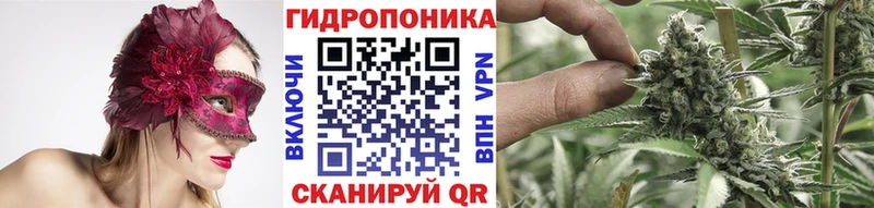 Бошки Шишки LSD WEED  площадка официальный сайт  Данилов 